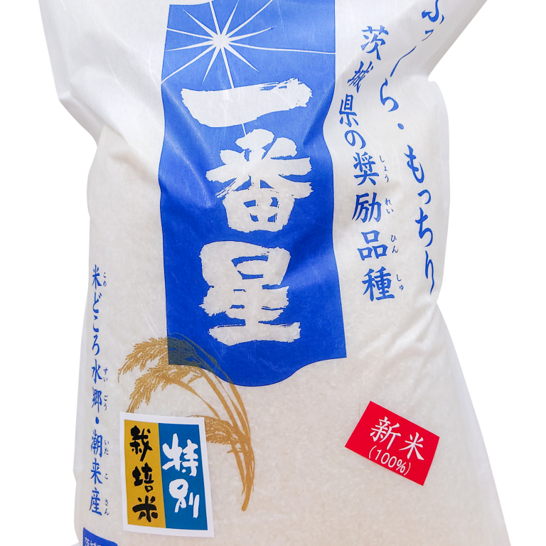 sim-0040
